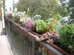 Balkonbepflanzung im Herbst