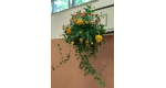 Geschmückter Basketballkorb mit Gerbera, Carthamus, Efeuranken und Craspedia.