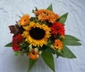 Strauß mit Sonnenblume, Gerbera, Germini, Kamille und rotes Laub.